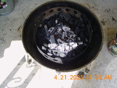 DSCI5117.JPG