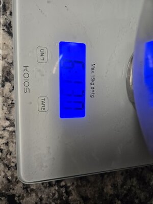 20250428_065934.jpg