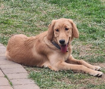 Stella outside.jpg