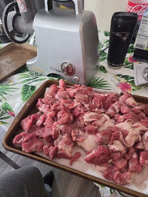 20250504_175009.jpg