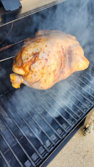 chicken.jpg