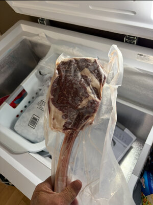 IMG_2936.jpeg