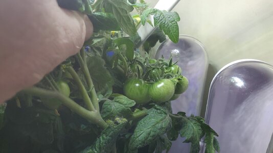 20220316_091713.jpg