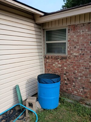 IMG_20250712_083737362.jpg