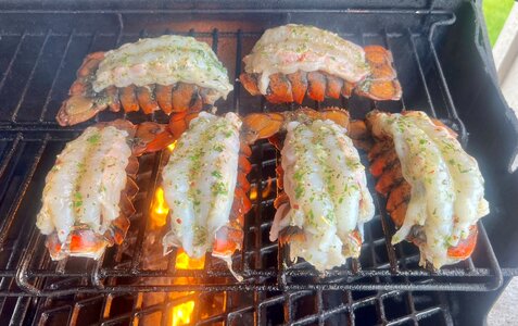 Lobster-Tails.jpg