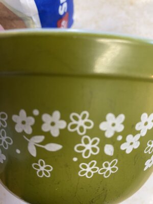IMG_2861.jpeg