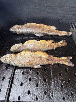 IMG_8192.jpeg