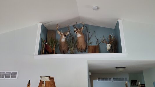 20220829_123655.jpg