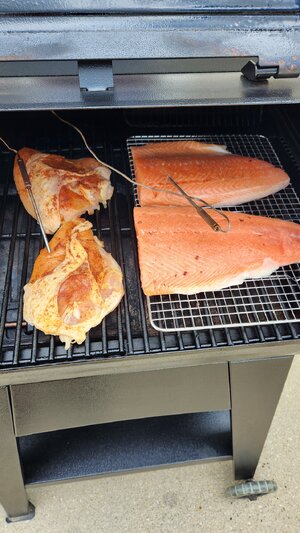 Chicken N' Salmon.jpg