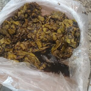 Chilies - Roasted and ready to remove skin 2025-08-09.jpg