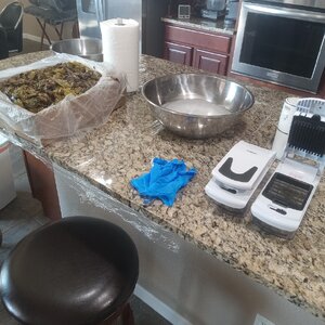 Chilies - Ready to Dice 2025-08-09.jpg