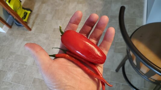 20250814_133202.jpg