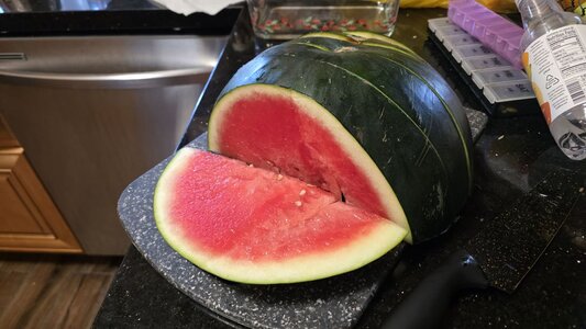 2025_melon_001.jpg
