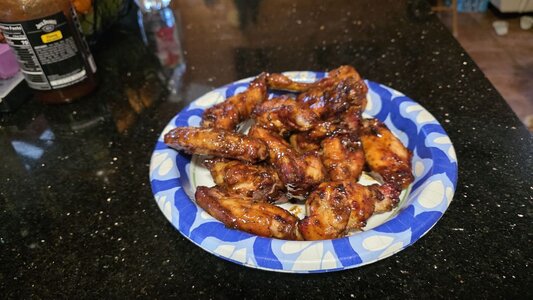 2025_wings_004.jpg