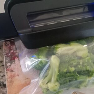 Broccoli Ready to Seal 2025-08-23.jpg