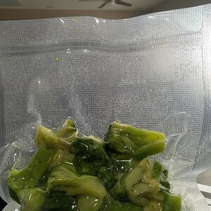 Broccoli Sealed 2025-08-23.jpg