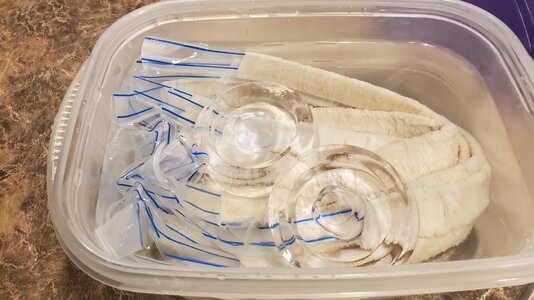 20240518_072442.jpg 20240518_072442.jpg