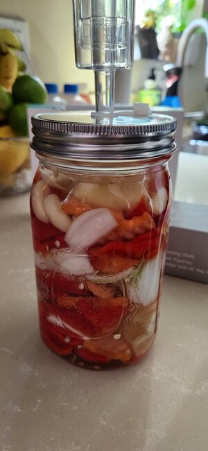 20250831_135843.jpg