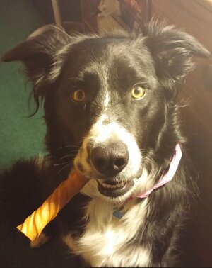 Ribs Sept 25 - 6.JPG