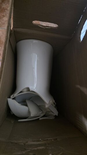 2025_toilet.jpg