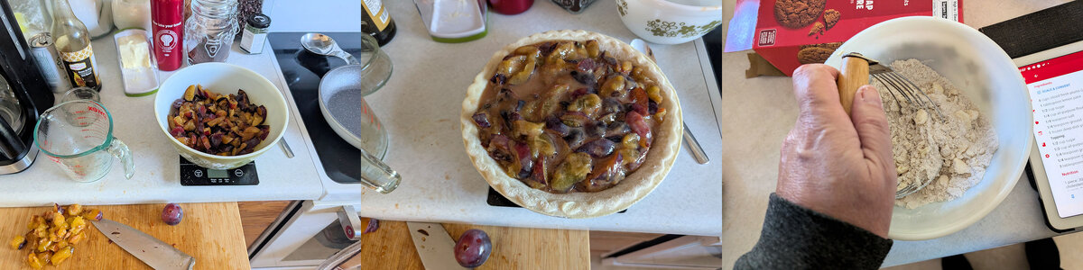 Plum Pie 1.jpg