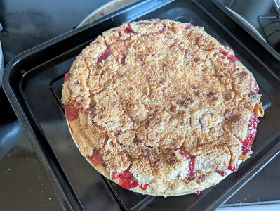 Plum Pie 2.jpg
