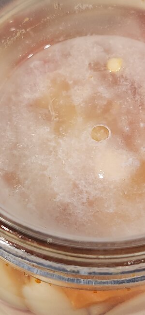 20250923_163513.jpg