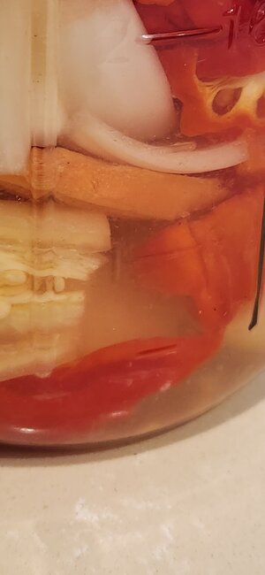 20250923_163002.jpg