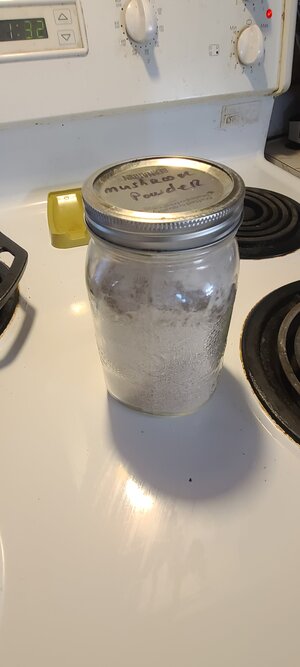 20250924_133147.jpg