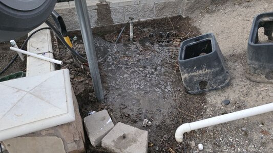 2025_sprinklers_001.jpg