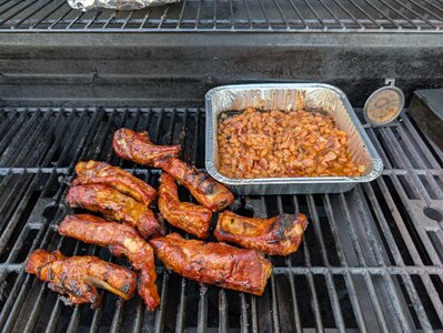 4 ribs.jpg
