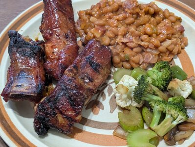 6 ribs.jpg