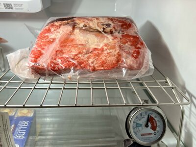IMG_2432.jpeg
