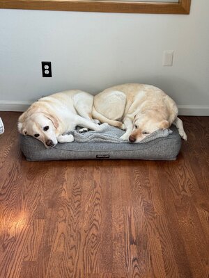 IMG_1987.jpeg