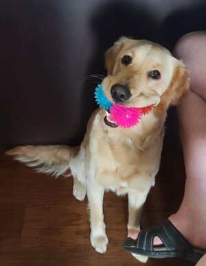 20220413_182941.jpg