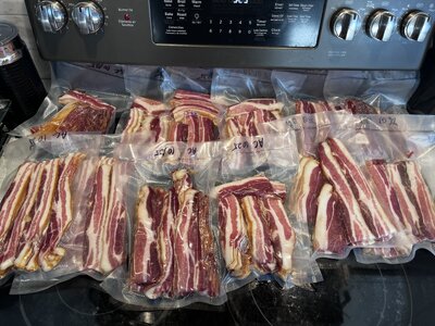 IMG_2580.jpeg