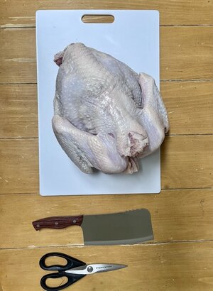 IMG_2192 Medium.jpeg