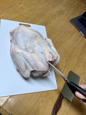 IMG_2194 Medium.jpeg