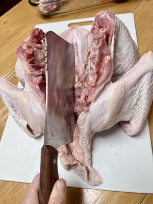 IMG_2196 Medium.jpeg