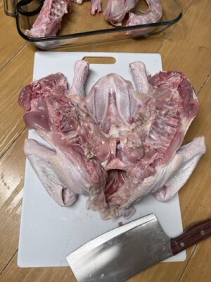 IMG_2197 Medium.jpeg