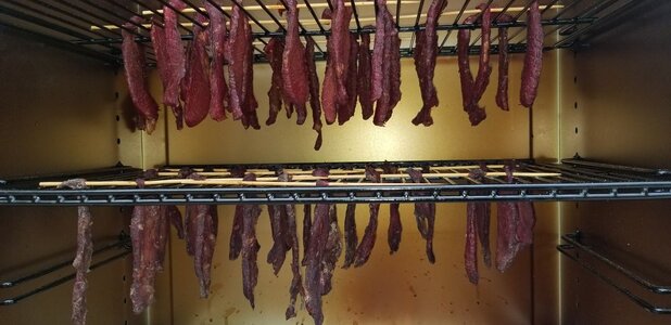 jerky_03_23_19_011.jpg