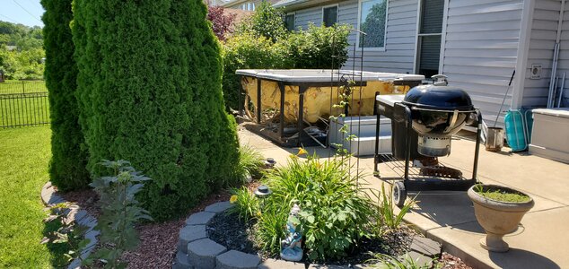 20190625_151933.jpg