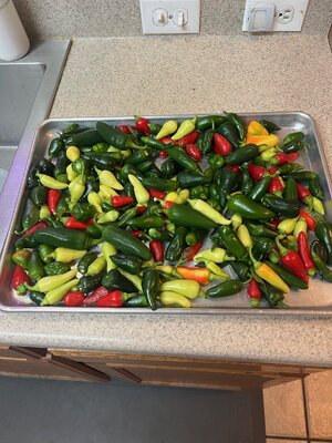 IMG_5843.jpeg