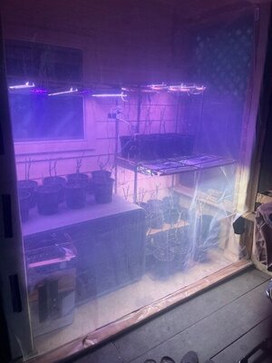 IMG_5853.jpeg