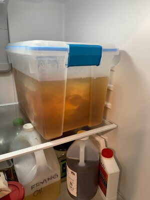 Coming out of the Fridge.jpeg