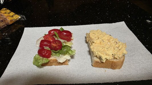 2025_egg_salad_plus_01.jpg