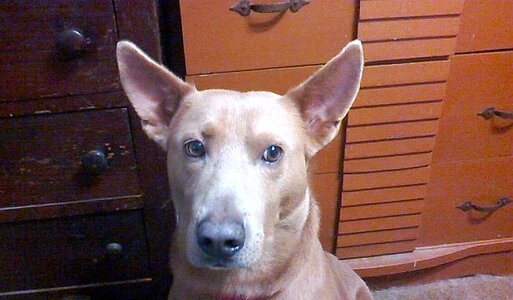 WP_20171224_001 BBQB.jpg