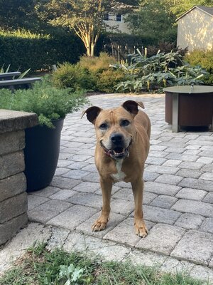 FullSizeRender (002).jpeg