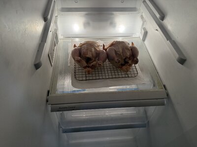 IMG_1673.jpeg
