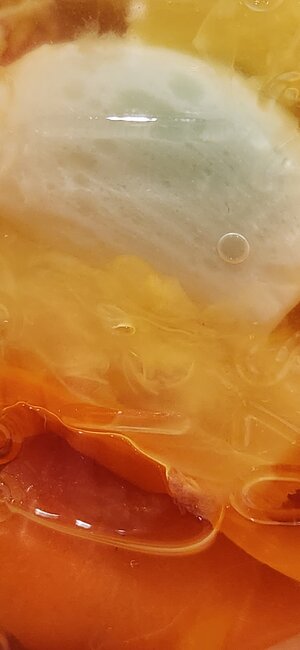 20260114_154411.jpg